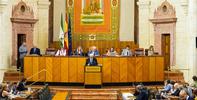El Defensor del Pueblo andaluz alerta en el Pleno del Parlamento de los retrasos en dependencia y salud