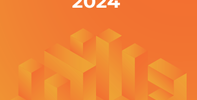 Informe Anual 2024 DIAA