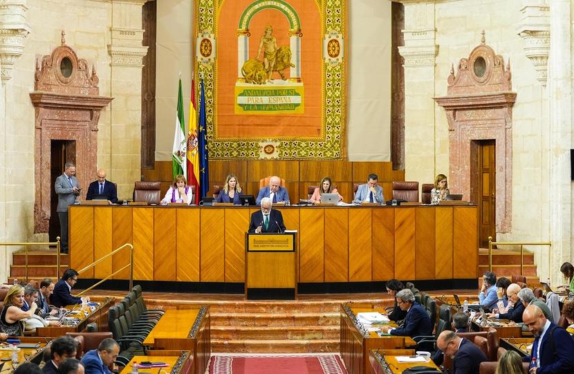 El Defensor del Pueblo andaluz alerta en el Pleno del Parlamento de los retrasos en dependencia y salud El Defensor del Pueblo andaluz alerta en el Pleno del Parlamento de los retrasos en dependencia y salud
