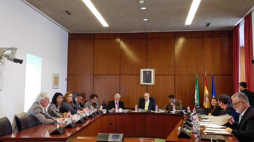 El Defensor del Pueblo Andaluz urge a la modificación del programa de solidaridad con una mayor dotación presupuestaria y celeridad en su tramitación El Defensor del Pueblo Andaluz urge a la modificación del programa de solidaridad con una mayor dotación presupuestaria y celeridad en su tramitación