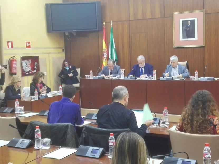 Presentación del Informe Especial de "Acoso Escolar y Ciberacoso" en comisión parlamentaria Presentación del Informe Especial de "Acoso Escolar y Ciberacoso" en comisión parlamentaria