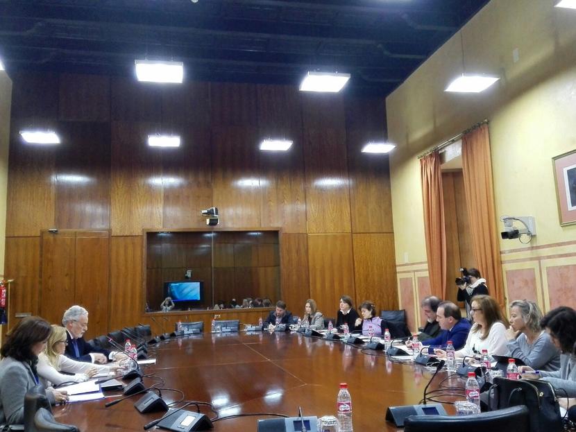 El Defensor del Pueblo demanda medios personales y materiales para hacer factibles los derechos de la ley de Discapacidad El Defensor del Pueblo demanda medios personales y materiales para hacer factibles los derechos de la ley de Discapacidad