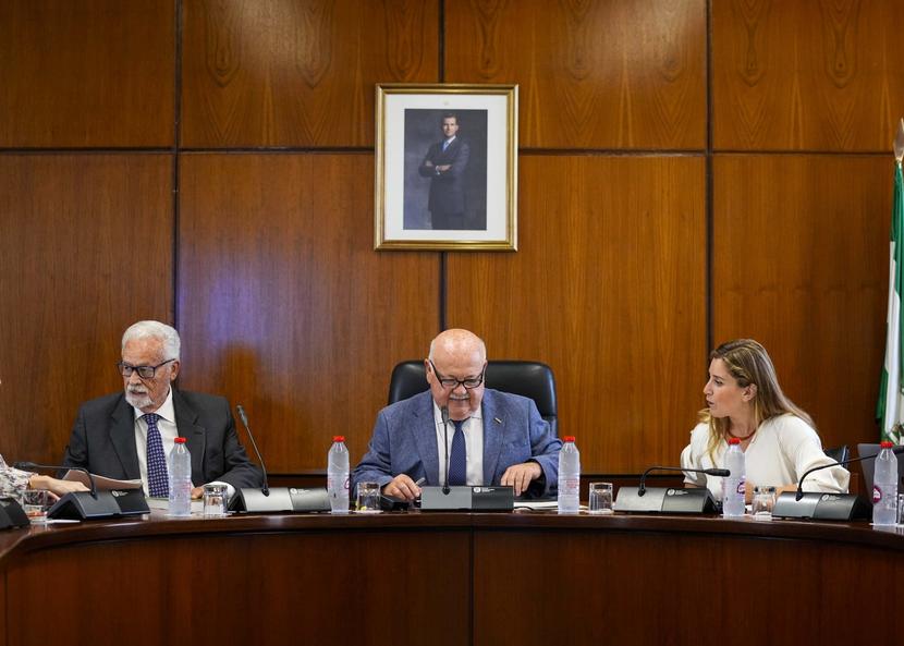 Dos de cada tres actuaciones del Defensor del Pueblo andaluz en defensa de la dignidad de las personas pertenecen a colectivos vulnerables