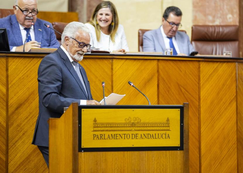 El Defensor del Pueblo andaluz prioriza la atención sanitaria, la dependencia y la valoración de la discapacidad ante el Pleno del Parlamento andaluz