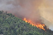 Que se actúe ante las causas del incendio de Lújar y se adopten medidas adicionales para aminorar el riesgo de incendio en la zona