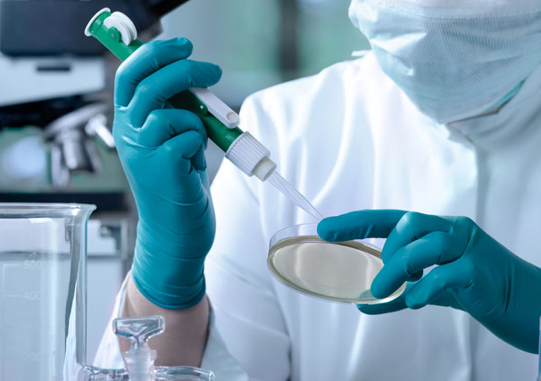 Recomendamos mejorar los plazos de espera y otras medidas para las técnicas de reproducción humana asistida Recomendamos mejorar los plazos de espera y otras medidas para las técnicas de reproducción humana asistida