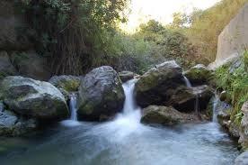 Le preguntamos al Ayuntamiento de Armilla por la acumulación de basura en el margen del río Monachil Le preguntamos al Ayuntamiento de Armilla por la acumulación de basura en el margen del río Monachil